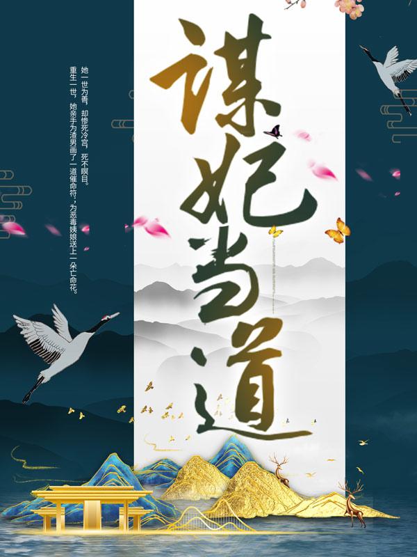谋妃当道二娘阮珍李京盛小说在线全文免费阅读