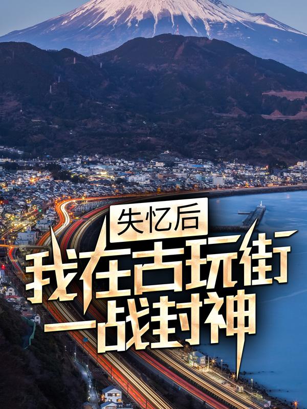 已完结小说《失忆后，我在古玩街一战封神》全章节在线阅读-优文网
