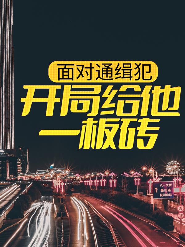 小说《面对通缉犯，开局给他一板砖》在线全文阅读-经典文学