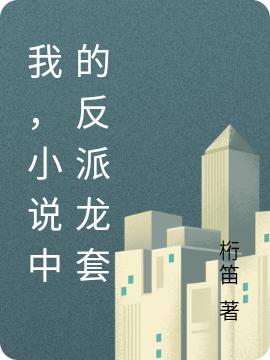我,小说中的反派龙套