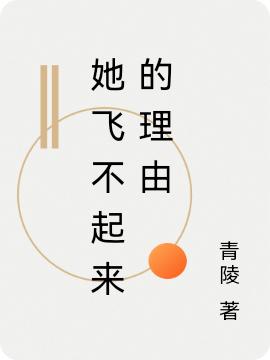 她飞不起来的理由