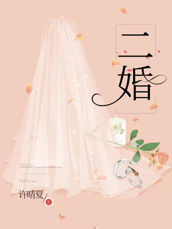 完整版《二婚》txt下载