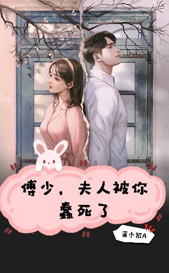 小说《傅少：夫人被你蠢死了》全文免费阅读-美文小说