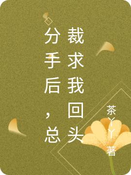 分手后,总裁求我回头