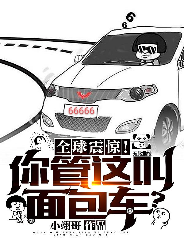 全球震惊！你管这叫面包车?赵宇王胜，全球震惊！你管这叫面包车?小说免费阅读