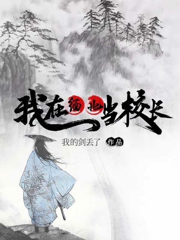 小说《我在缅北当校长》全文免费阅读