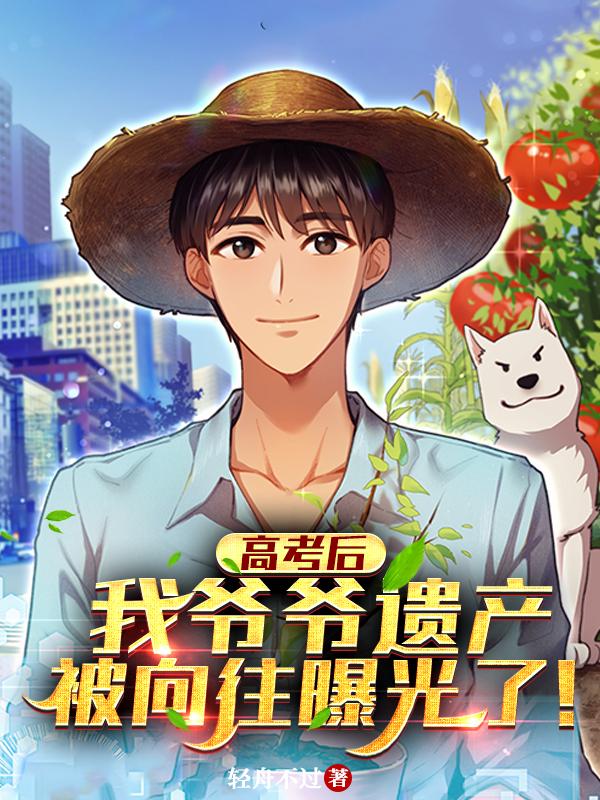 小说《高考后，我爷爷遗产被向往曝光了》全文免费阅读