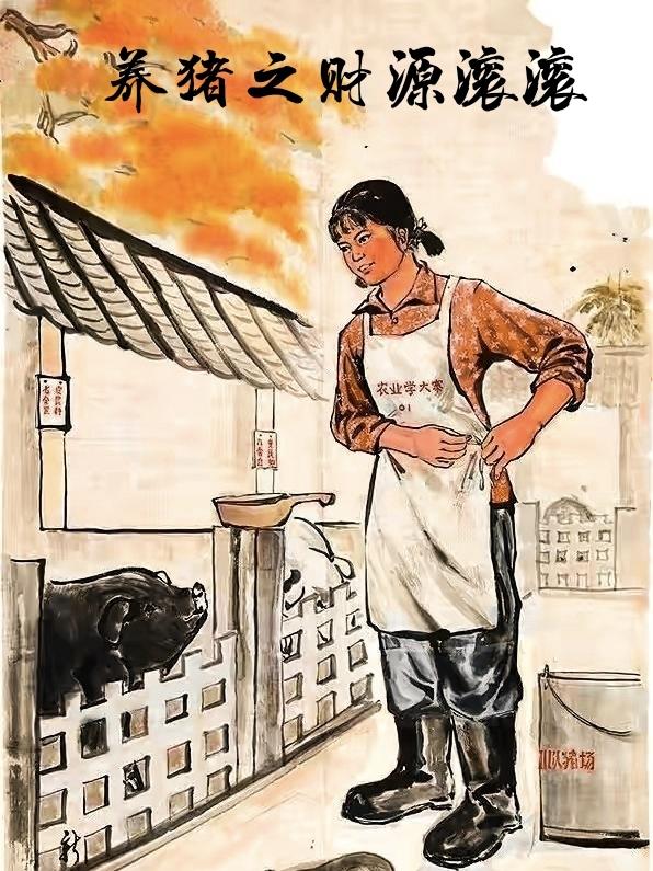 男女主人公叫张绅何红帅的小说免费资源