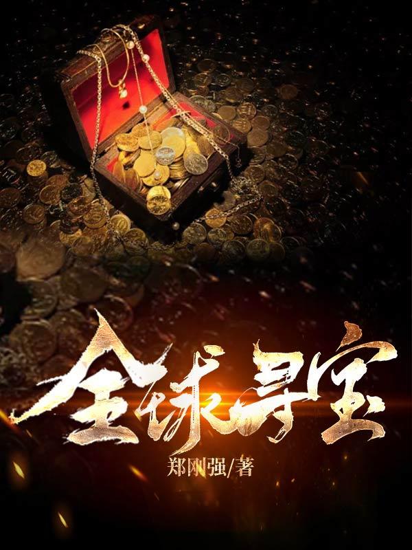 全球寻宝小说，全球寻宝最新章节-瑞奇文学