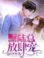 一世情深：陆总放肆宠小说，一世情深：陆总放肆宠全文在线阅读-书格格