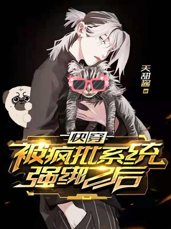 阿依小说叫什么（快穿：被疯批系统强绑之后免费阅读）