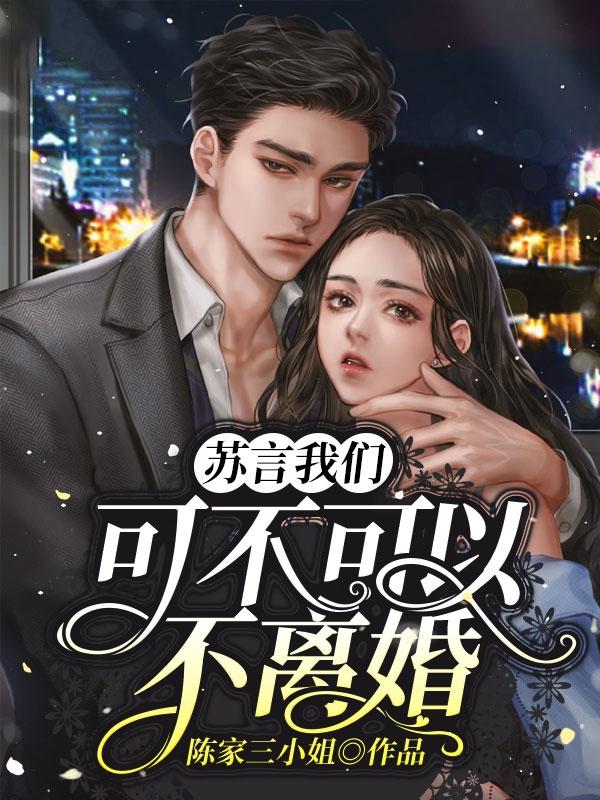 已完结小说《苏言，我们可不可以不离婚》全文免费阅读