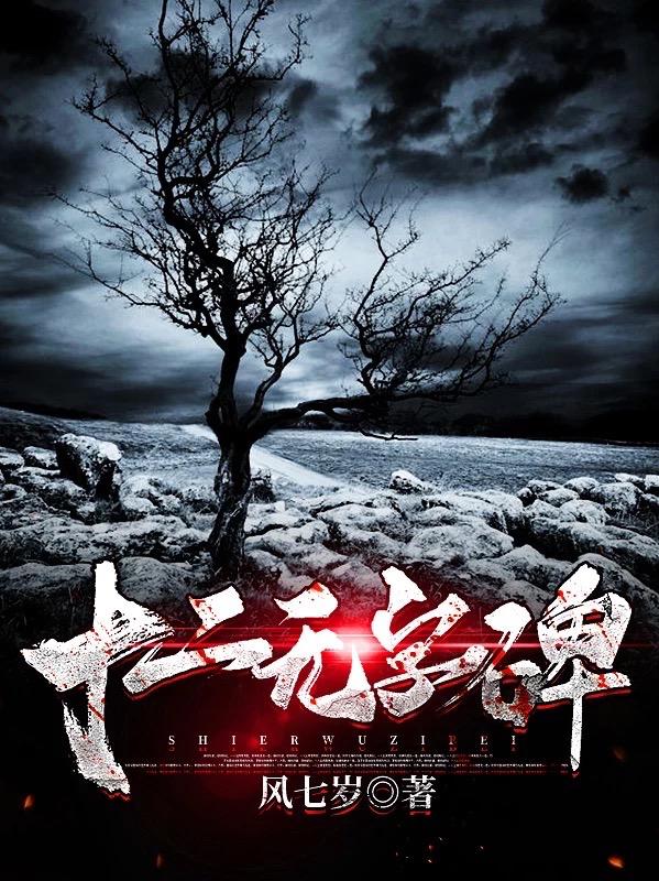 十二无字碑