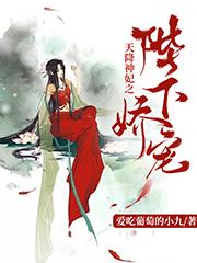 天降神妃之陛下娇宠最新章节，天降神妃之陛下娇宠全文在线阅读-优文网