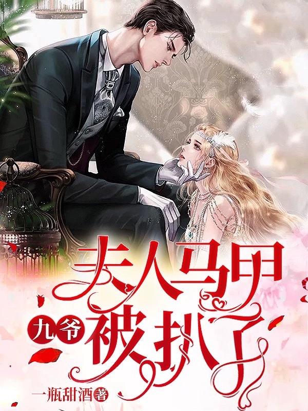 九爷，夫人马甲被扒了小说，九爷，夫人马甲被扒了在线阅读-经典文学