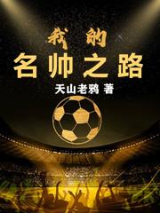 求我的名帅之路小说免费资源