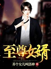 完整版《至尊女婿》txt下载