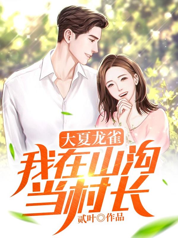 大夏龙雀:我在山沟当村长