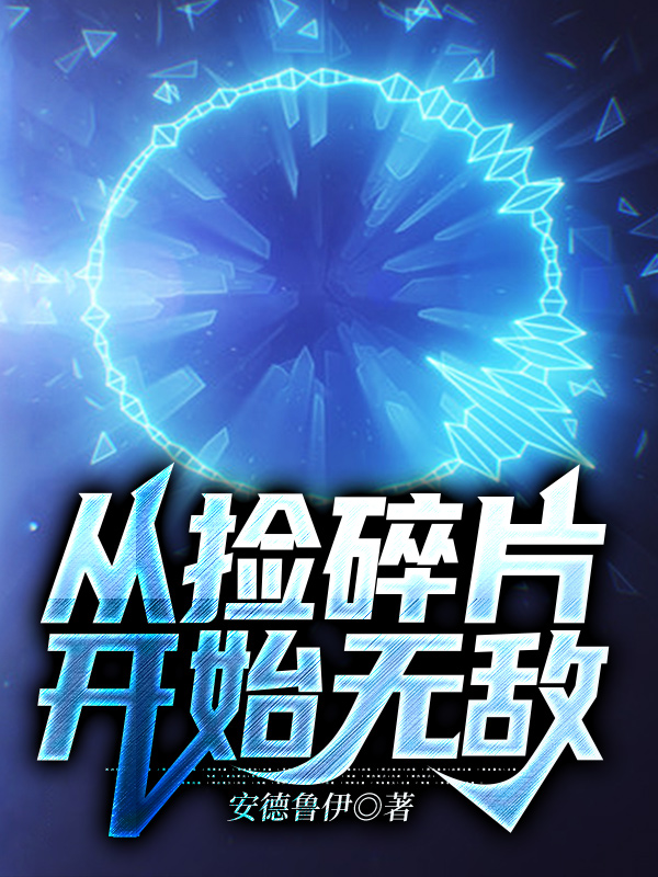 叶枫小说《从捡碎片开始无敌》在线阅读-优文网
