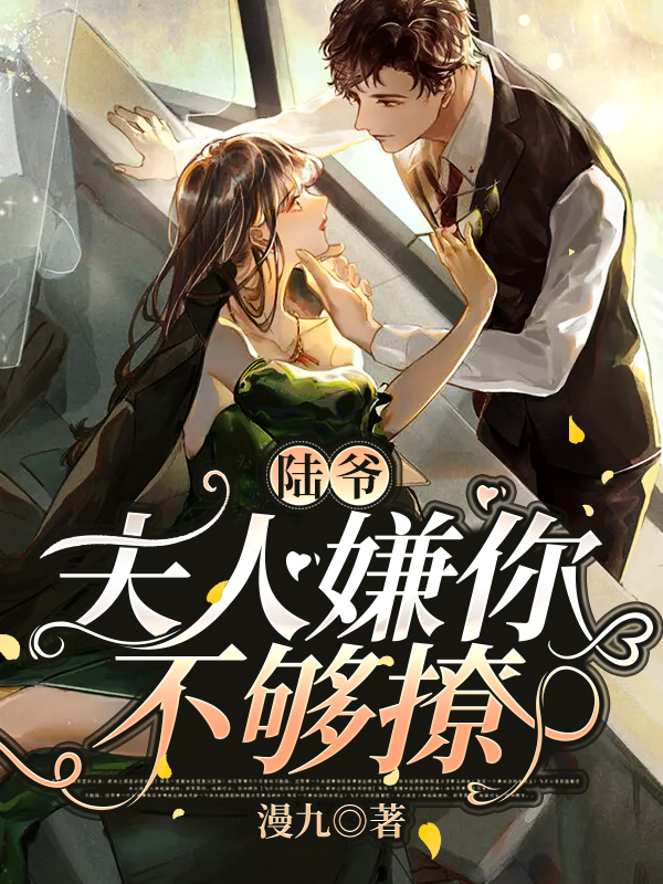 求夏沐笙陆北骁小说免费资源