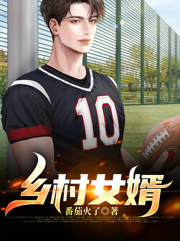 乡村女婿小说，乡村女婿免费阅读-优文网