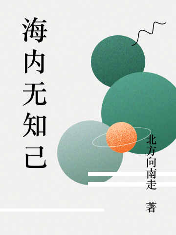 海内无知己西门肃颜安小说免费阅读
