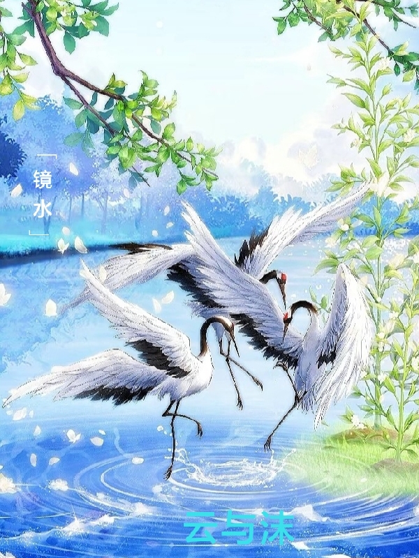 小说镜水云与沫扶芸余岁陌在线阅读-书评酱