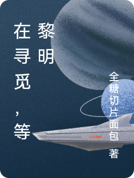 在寻觅，等黎明（林思尧祁欢）在线免费阅读