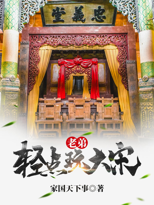 老弟，轻点玩大宋免费阅读
