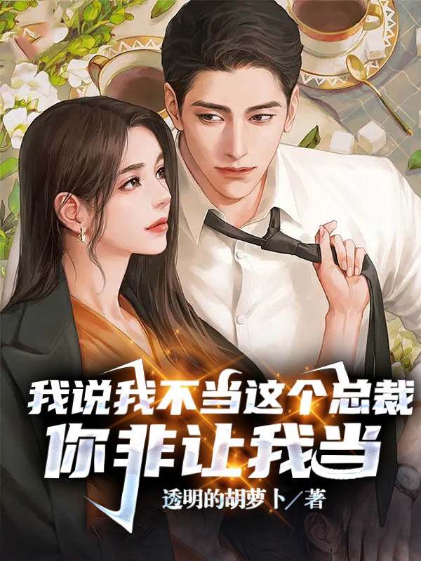 我說我不當這個總裁，你非讓我當