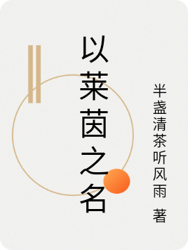 小说《以莱茵之名》全文免费阅读