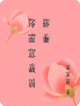 冷面总裁弱娇妻小说免费阅读，莫冉乔政年小说免费全文