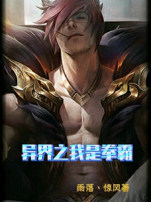 异界之我是拳霸小说，异界之我是拳霸龙豪