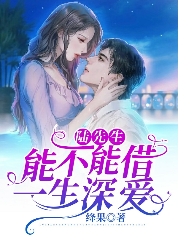 夏茗荞陆南城小说陆先生，能不能借一生深爱完整版阅读