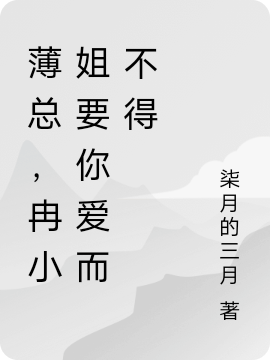小说《薄总，冉小姐要你爱而不得》全文阅读