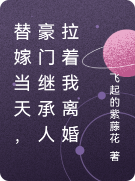 求替嫁当天，豪门继承人拉着我离婚小说免费资源