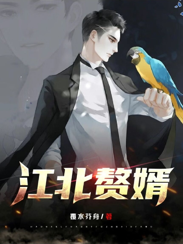 已完结小说《江北赘婿》在线全文阅读-优文网