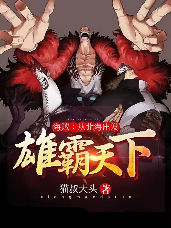 主角陆凡小说海贼：从北海出发雄霸天下免费阅读-有文学