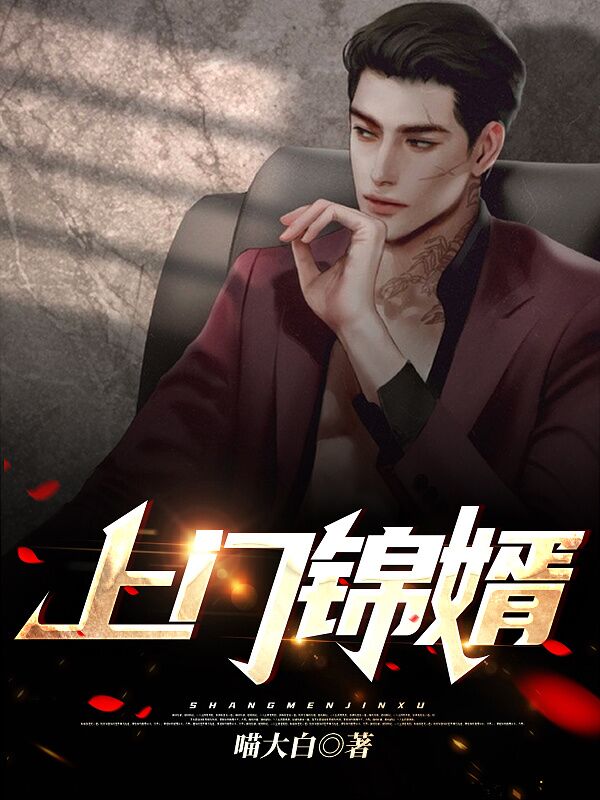 上门锦婿免费阅读