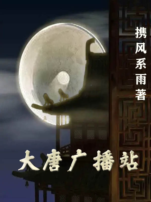 大唐广播站全文阅读，张妙声在线免费看