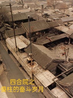 主角何雨柱，叶郁蒲小说完整版在线阅读，四合院之傻柱的奋斗岁月免费看