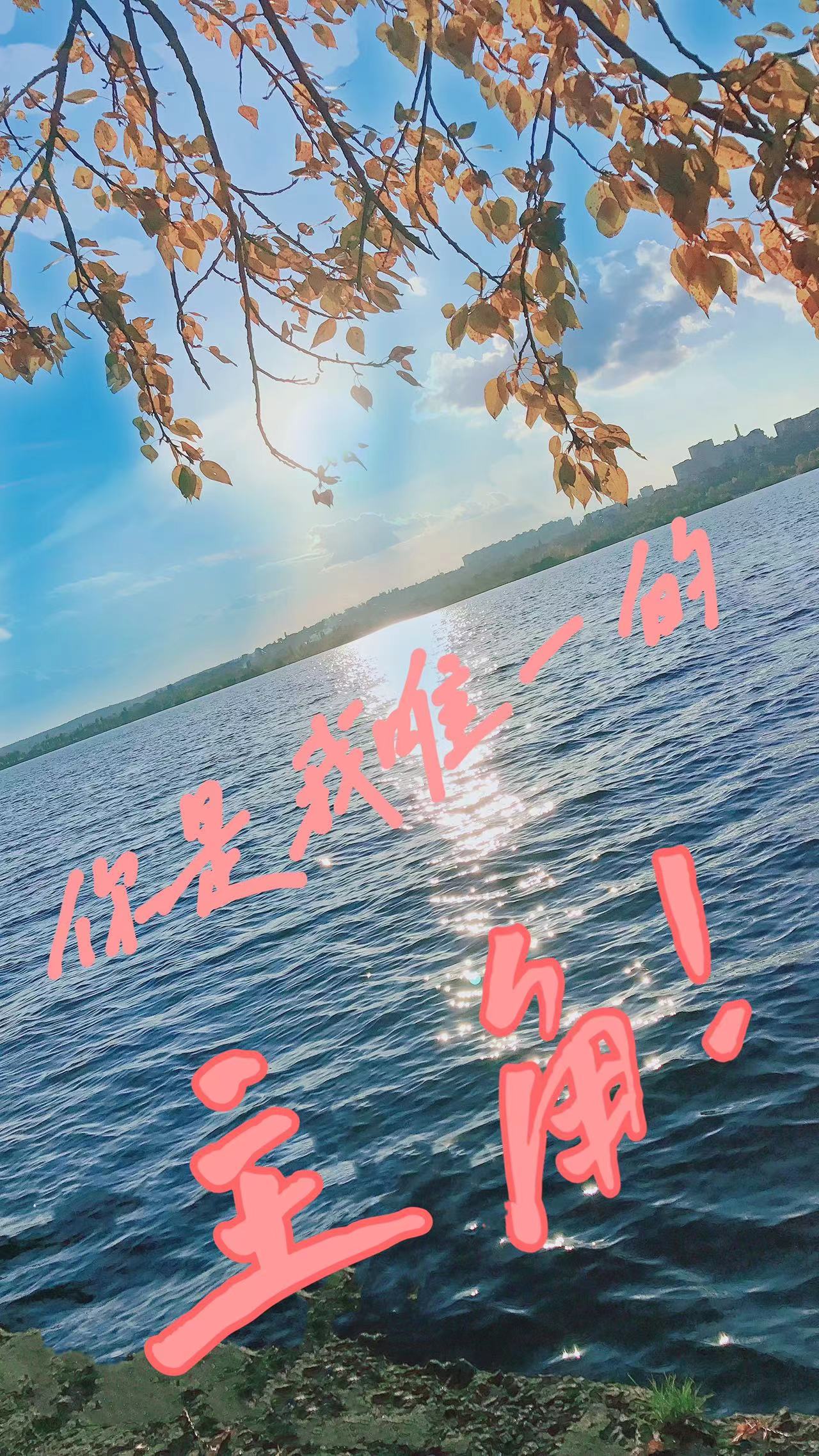 主人公顾北辰肖安安小说你是我唯一的主角！在线全文阅读-优文网