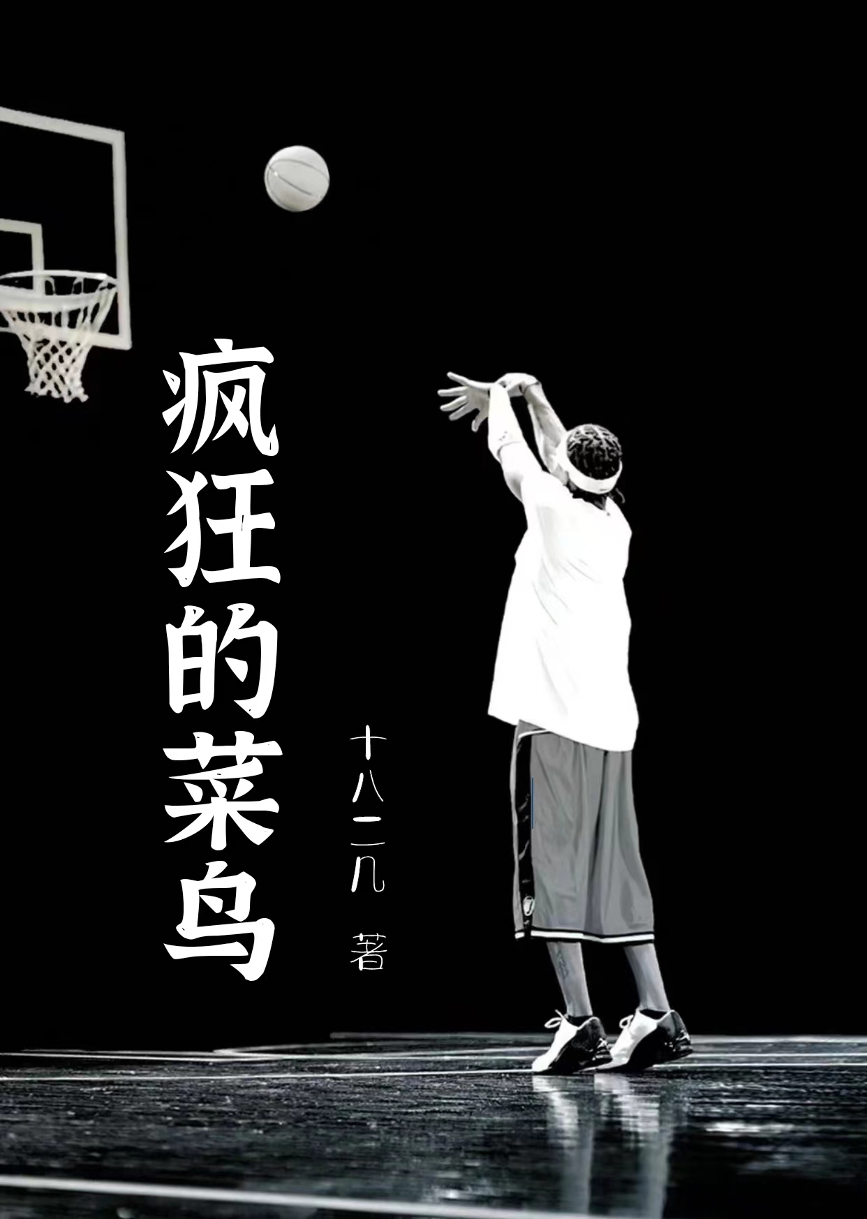 疯狂的菜鸟小说，疯狂的菜鸟全文在线阅读
