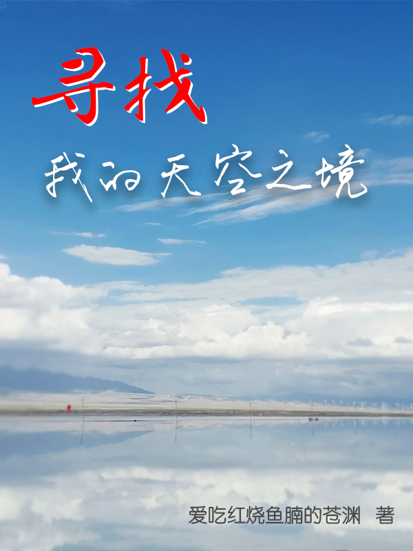 寻找我的天空之境在线阅读刘畅小说免费看