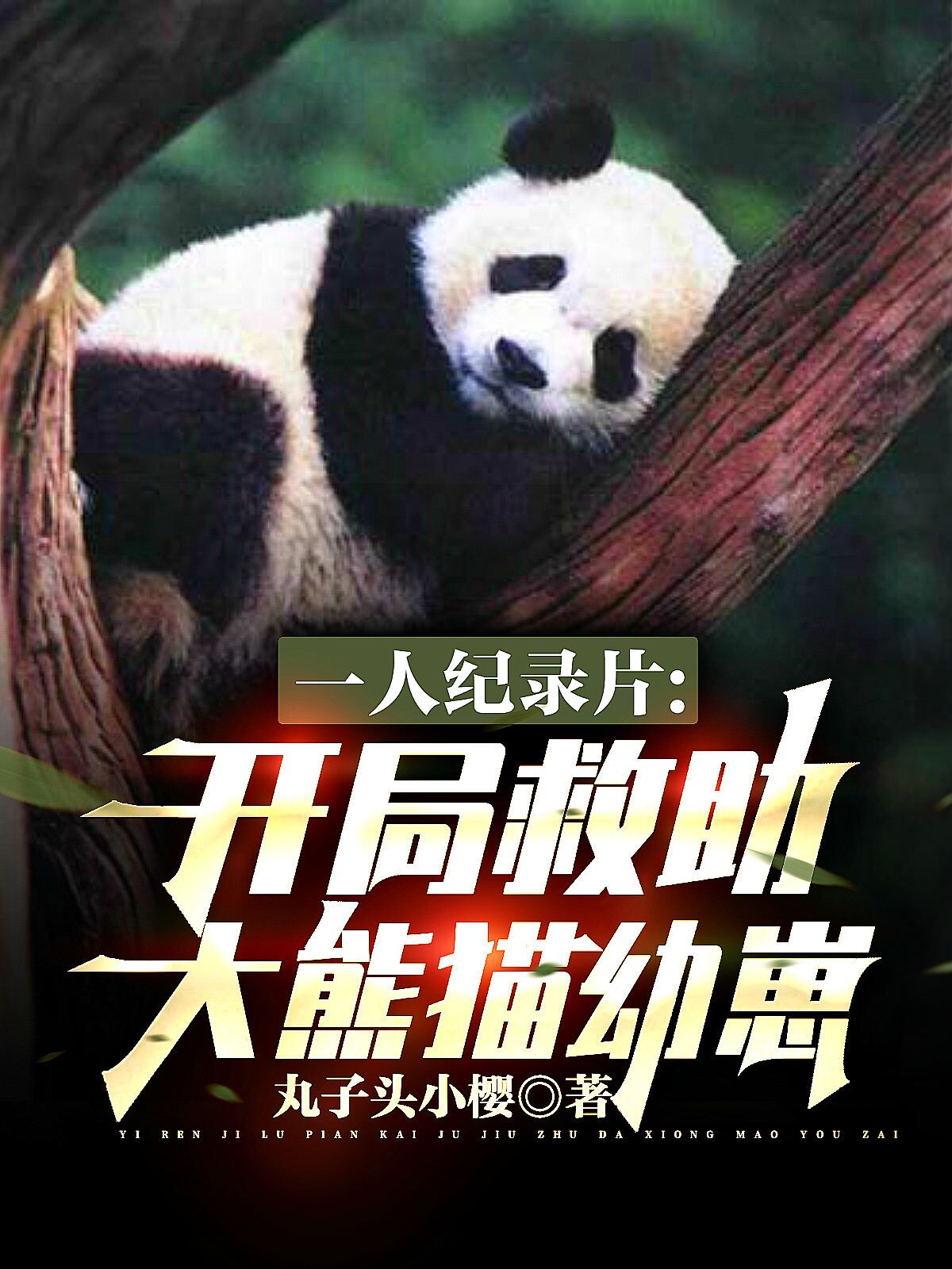 一人纪录片：开局救助大熊猫幼崽免费阅读
