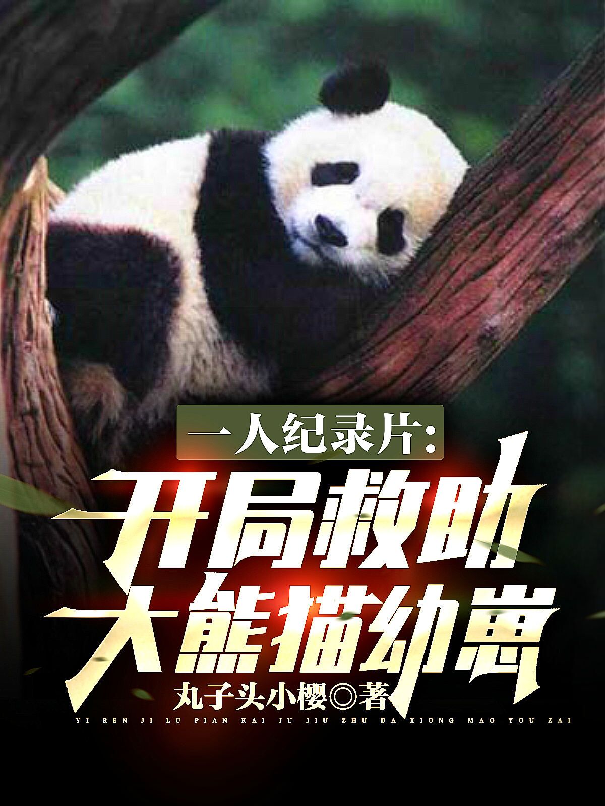 楚泽小说在哪里可以看
