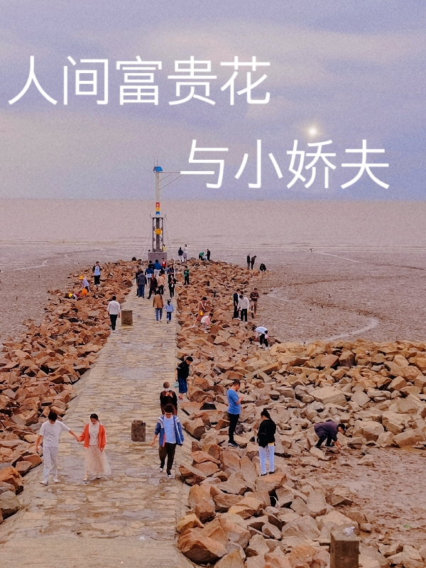 顾景深宋可心小说在哪里可以看