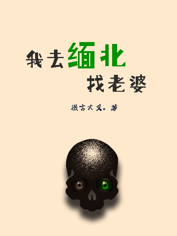 我去缅北找老婆小说，我去缅北找老婆全文在线阅读-优文网