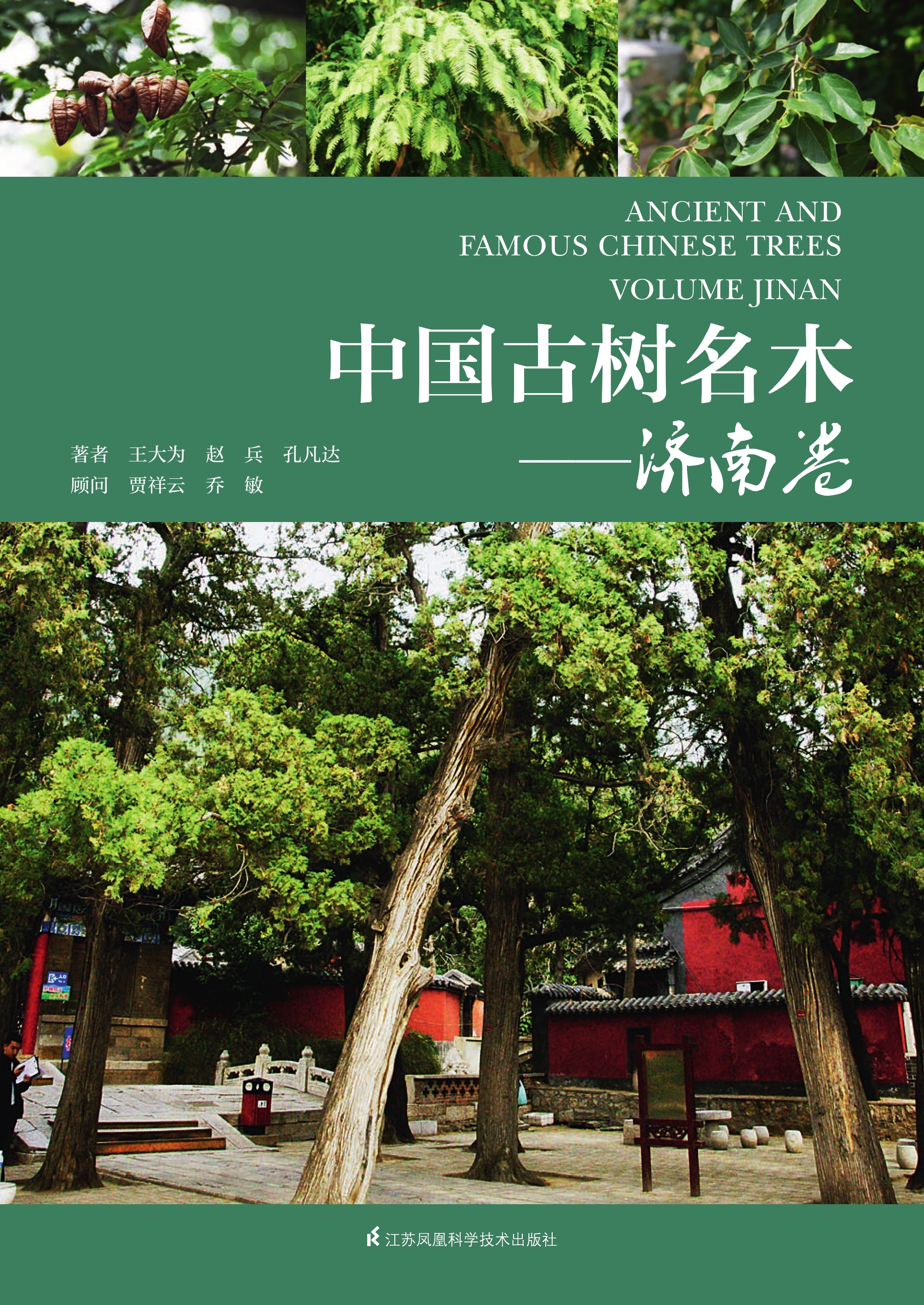 中国古树名木——济南卷