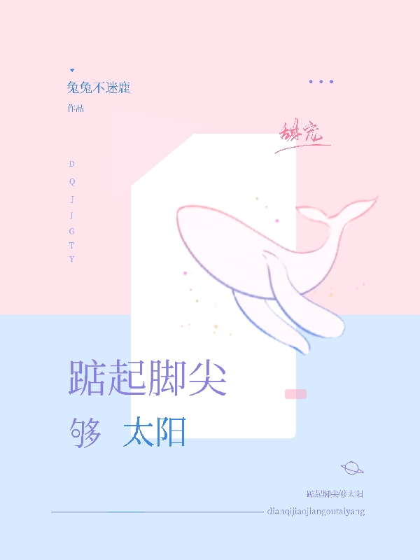 踮起脚尖够太阳主角施词肖慕辰小说完整版全文在线阅读